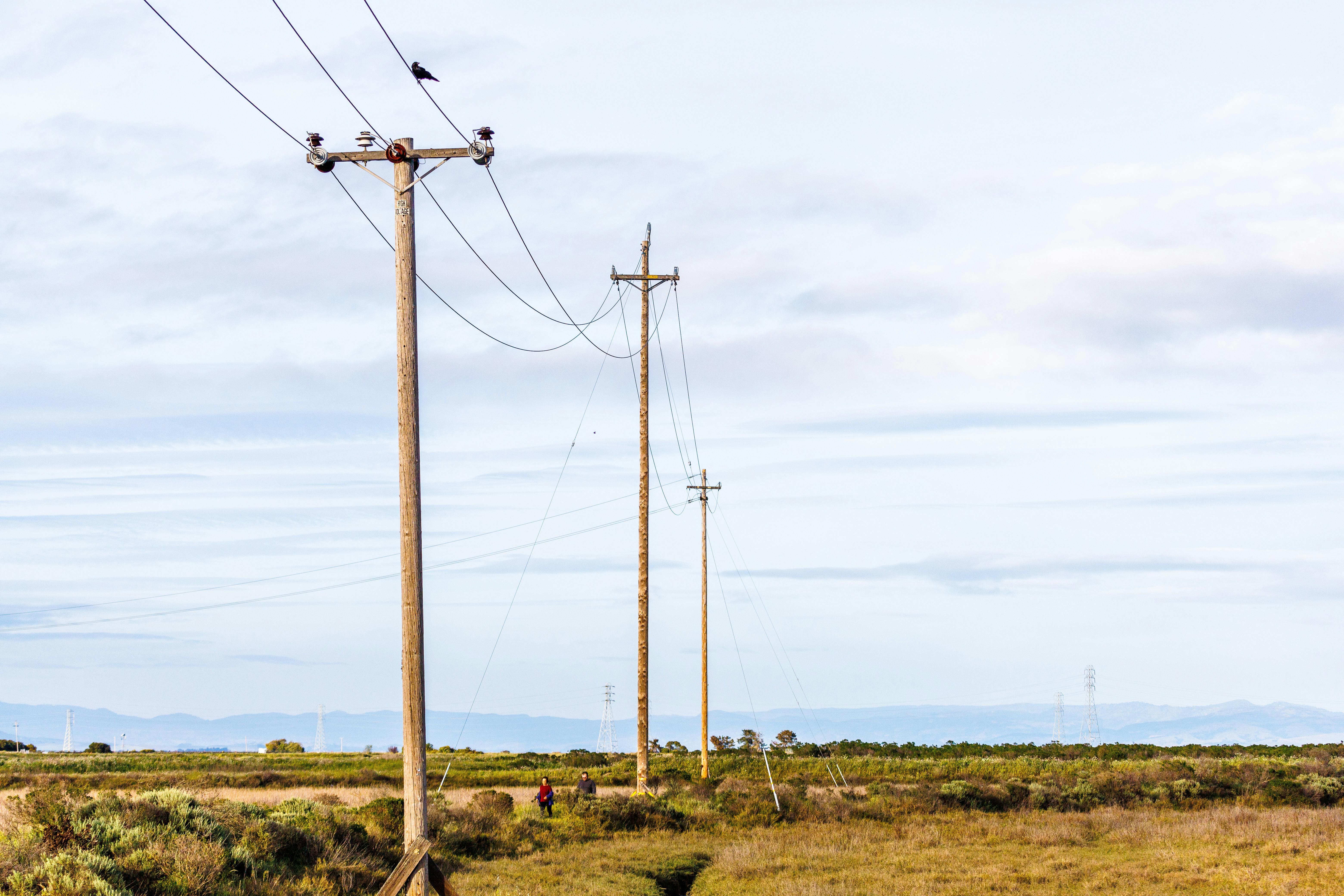 Pole inspection and assessment
